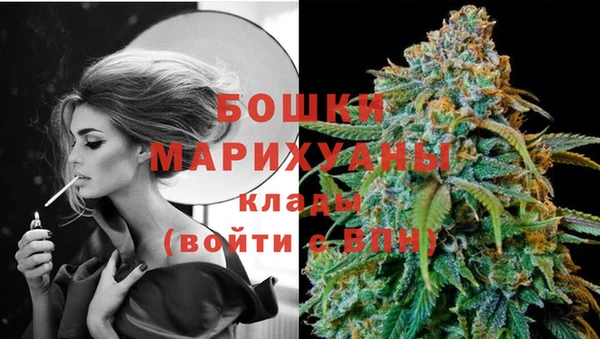 соль ск Верхний Тагил