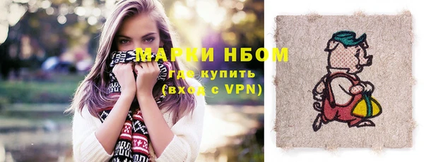 индика Бронницы