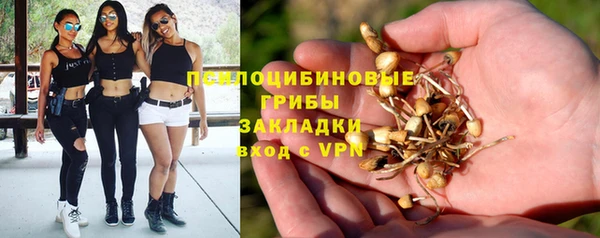 соль ск Верхний Тагил