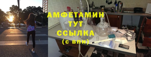дмт Бородино